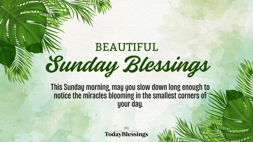 Sunday Blessings